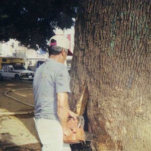 Meet your Posher, Noe